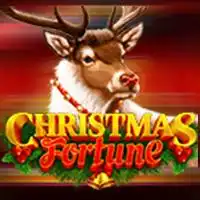 Christmas Fortune